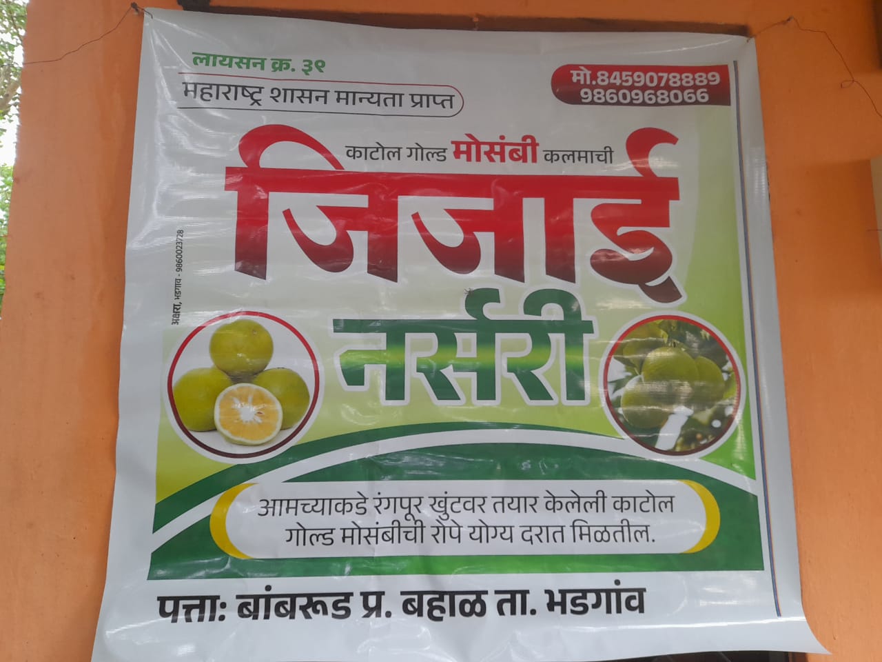 जिजाई नर्सरीचा अधिकृत फलक
